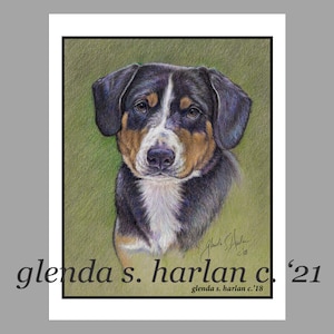 Entlebucher Sennenhund Grußkarten Fine Art Zeichnung Hundeliebhaber Geschenk Stationär - Set von vier oder acht