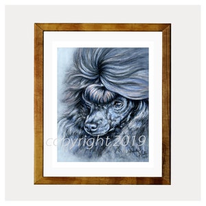 Black Toy Poodle Art 8x10 Print