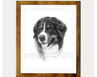 Bernese Mountain Dog Fine Art 8x10 Print