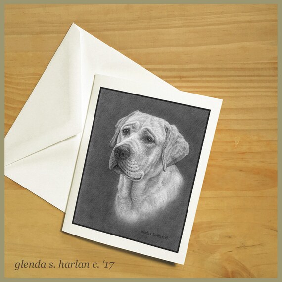 6 Labrador Retriever Yellow Lab Blank Art Note Greeting Cards 