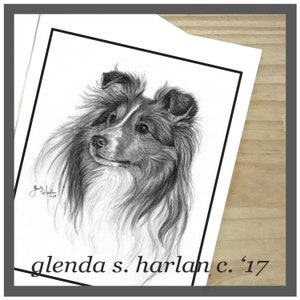 Cartes de correspondance pour chien sheltie, dessin de chien, cadeau chien pour maman, amoureux des chiens de berger des Shetland, lot de quatre ou huit