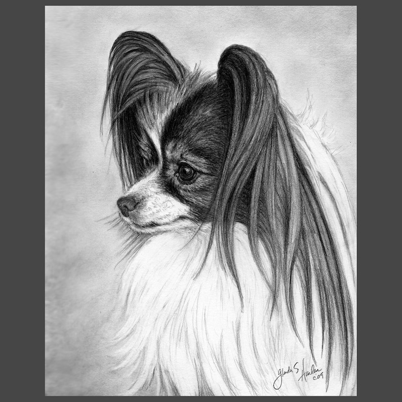 Papillon Dog Fine Art 8x10 Print image 2