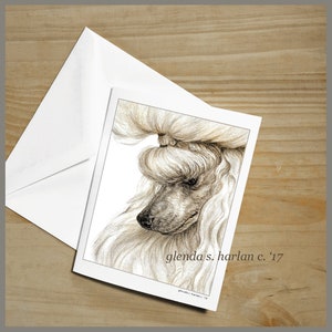 May include: A black and white pencil drawing of a white poodle with its head tilted to the side. The drawing is signed "glenda s. harlan c. '17".