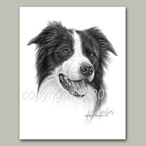 Border Collie Fine Art 8x10 Print