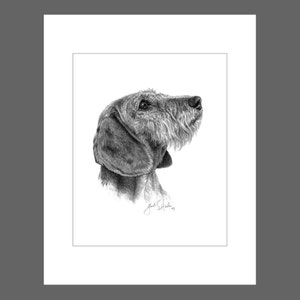 Wirehair Dachshund Fine Art 8x10 Print
