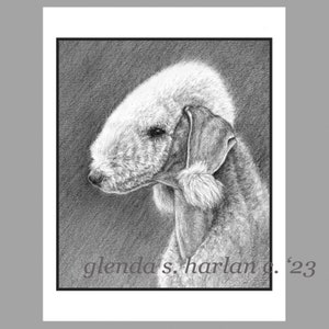 Bedlington Terrier Dog Note Cards Fine Art Drawing Dog Lover Gift Terrier Dog Mom Stationary - Set of Four or Eight.