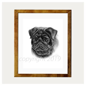 Black Pug Dog Fine Art 8x10 Print