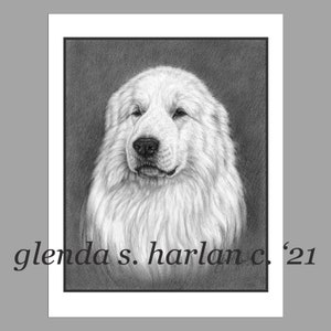 Great Pyrenees Note Cards Fine Art Dog Drawing Pyr Lover Stationary Gift - Lot de quatre ou huit