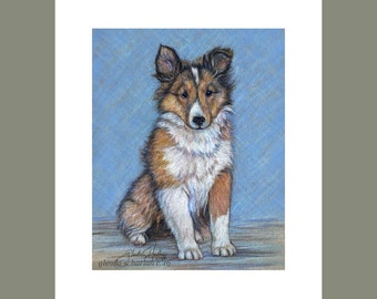 Shetland Sheepdog Puppy Fine Art 8x10 Print