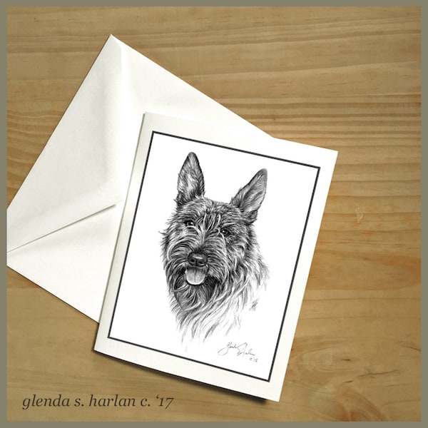 Berger Picard Dog Fine Art Note Cards