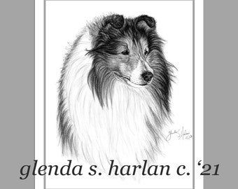 Shetland Sheepdog Note Cards Fine Art Dog Drawing Mom Dog Gift Sheltie Lover - Set of Four or Eight