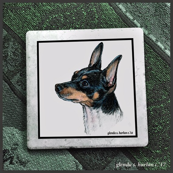 Toy Fox Terrier Drawing on a 6 Inch Decorative Tile Trivet Etsy