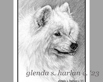 Samoyed Dog Art Note Cards Fine Art Drawing Dog Lover Gift Sammy Dog Mom Stationary - Set of Four or Eight.
