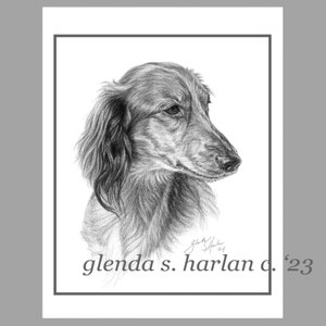 Teckel Note Cards Fine Art Dog Drawing Long Coat Dachsie Lover Gift Dog Mom Stationary - Ensemble de quatre ou huit.