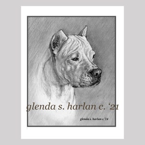 Dogo Argentino Note Cards Fine Art Drawing Dog Lover Gift Dogo Mom Gift Stationary - Set of Four or Eight.