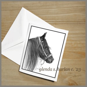Paso Fino Horse Note Cards Fine Art Drawing Horse Lover Gift Horse Mom Stationary - Set of Four or Eight.