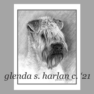 Wheaten Terrier Note Cards Fine Art Dog Drawing Terrier Dog Lover Dog Mom Gift Dog Stationary - Set of Four or Eight.