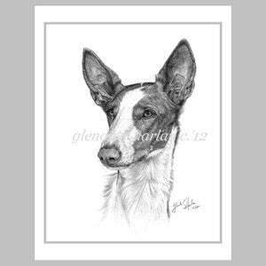 Free Shipping Dalmatian Puppy Dog Fine Art Notecards