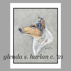 May include: A detailed pencil drawing of a Collie dog with a white and brown coat, looking to the left. The drawing is on a textured gray background with the artist's signature in the bottom right corner.