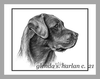 Labrador Retriever Dog Note Cards Fine Art Drawing Dog Lover Gift Stationary - Set of Four or Eight.