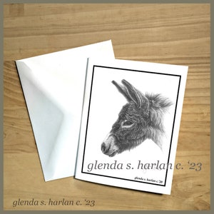 Donkey Note Cards Fine Art Drawing Equine Lover Gift Donkey Mom Gift Stationary - Set of Four or Eight.