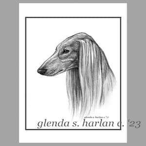 Saluki Hound Dog Note Cards Fine Art Drawing Dog Lover Gift Saluki Mom Stationary - Set of Four or Eight.