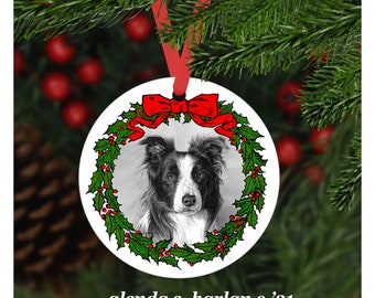 Könnte beinhalten: Runder, weißer Weihnachtsschmuck mit einem Schwarz-Weiß-Porträt eines Border Collie-Hundes. Der Hund ist von einem grünen Stechpalmenkranz mit roten Beeren und einer roten Schleife umgeben. Der Text "glenda s. harlan c. '21" befindet sich unten.