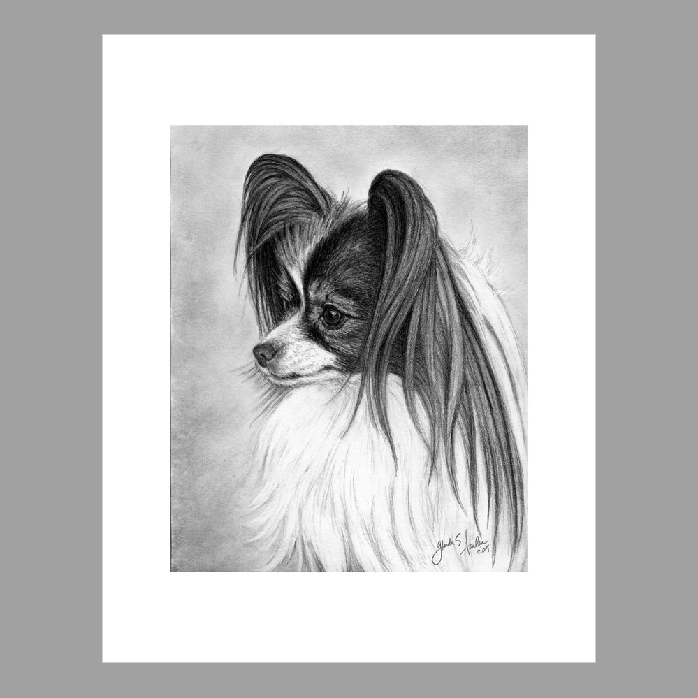 Papillon Dog Fine Art 8x10 Print