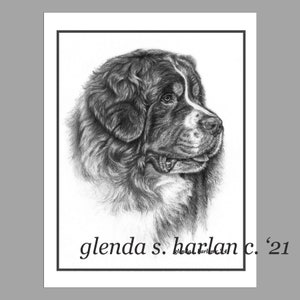 Berner Sennenhund Grußkarten Fine Art Hund Zeichnung Berner Liebhaber Hund Mama Geschenk Stationary - Set von vier oder acht.