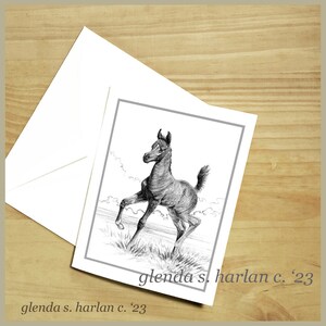 Arabian Colt Note Cards Fine Art Drawing Trotting Arab Colt Lover Gift Stationary - Set of Four or Eight.