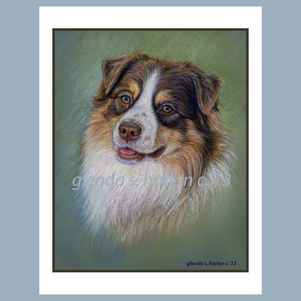 Australian Shepherd Black Tri Fine Art 8x10 Print Free Shipping ***