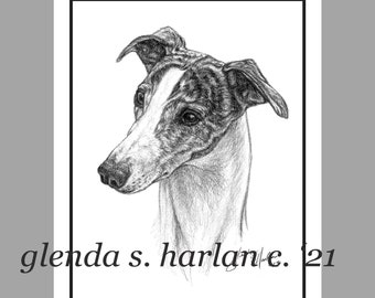 Whippet Hound Note Cards - Set of Four or Eight - Dog Stationary, Whippet Gift