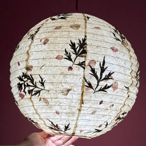 May include: A round paper lantern with a floral design. The off-white lantern features black leaf and pink petal accents. The lantern is suspended from a red cord, creating a soft, ambient glow.