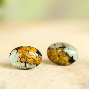 Dried lichen stud earrings, Forest inspired earrings, Moss terrarium earrings, Real lichen earrings in resin, Nature lover gifts for women