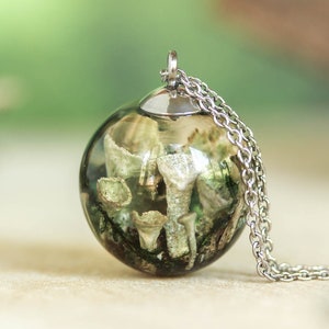 May include: A silver chain necklace with a clear glass pendant containing dried green moss and white flowers.