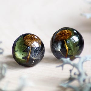 May include: Two round, dark resin earrings. Each earring features a preserved dandelion seed head and green leaves encased within. The earrings have a glossy finish and are set against a light wooden surface.