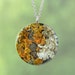 LIKIN’ LICHEN GROUP OF GREEN NECKLACES