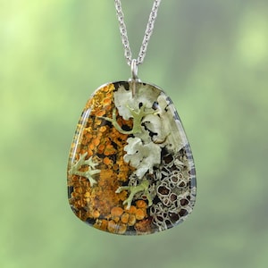 Op de afbeelding: Een zilveren ketting met een hanger met een heldere hars gevuld met gedroogde korstmossen in tinten bruin, groen en wit.