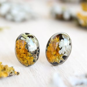 Lichen earrings, Nature stud earrings hypoallergenic, Rustic stud earrings, Forest moss earrings, Terrarium earrings, Nature lover gift idea