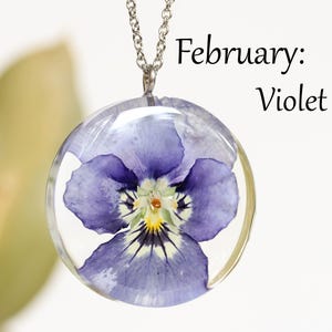 Puede incluir: Un collar de cadena plateada con un colgante redondo y transparente. Dentro del colgante hay una flor de violeta prensada con pétalos morados y un centro amarillo. El texto "February: Violet" es visible.