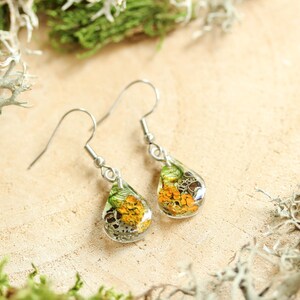 Teardrop resin earrings with orange lichen, gray lichen, and green moss. Displayed on a pale wood surface with surrounding dried lichen. Stainless steel hooks. Natural lighting and earthy botanical theme.