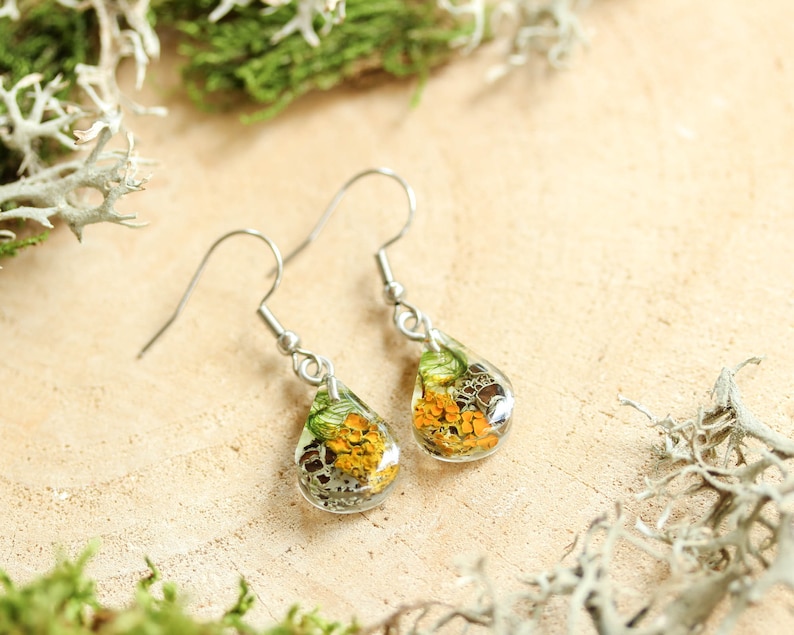 Teardrop resin earrings with orange lichen, gray lichen, and green moss. Displayed on a pale wood surface with surrounding dried lichen. Stainless steel hooks. Natural lighting and earthy botanical theme.