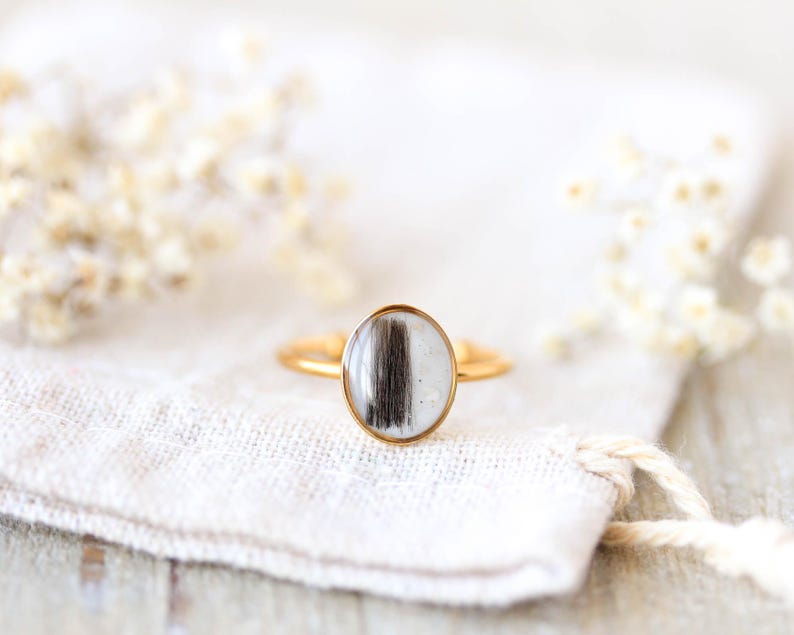 Hair and Ashes Keepsake Ring, Pet Memorial Jewelry, Pet Cremation Ring ...
