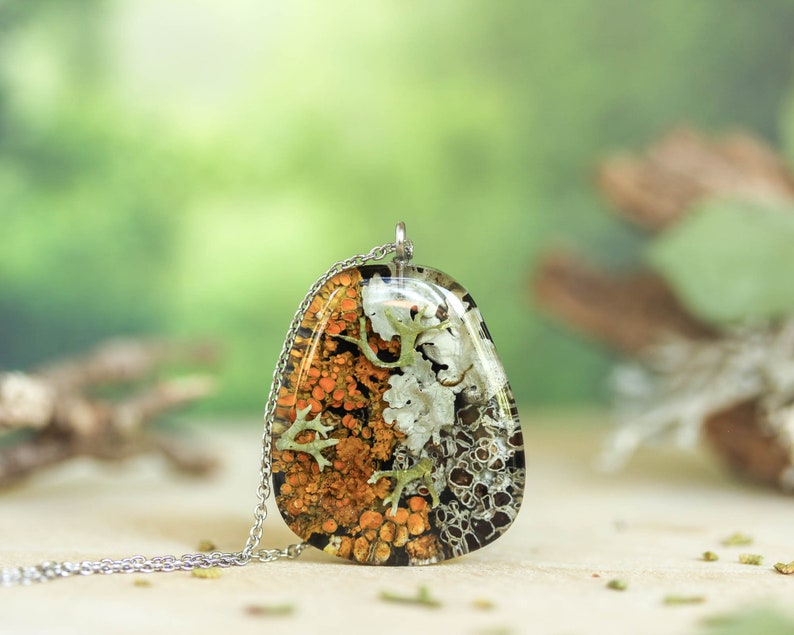 Botanical resin necklace featuring real orange and white lichens preserved in a rounded triangle-shaped pendant. The pendant hangs on a silver chain and is displayed against a soft forest-inspired background