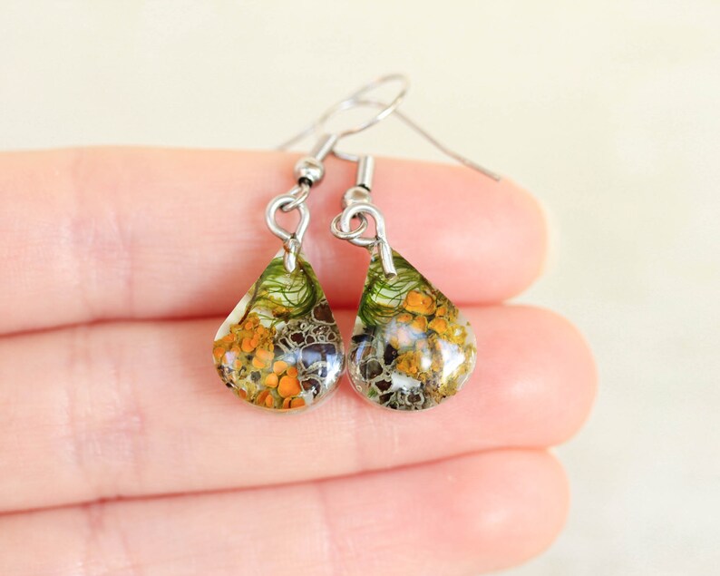 Small teardrop resin earrings with real orange lichen, gray lichen, and green moss, held between fingers to show size. Lightweight and handmade with silver-toned hypoallergenic hooks. Photographed in natural light on a soft background.