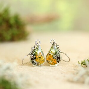 Botanical resin earrings with embedded orange lichen, gray lichen, and green moss. Lying on a beige surface with stainless steel ear wires. Photographed in warm natural light with a softly blurred green background.