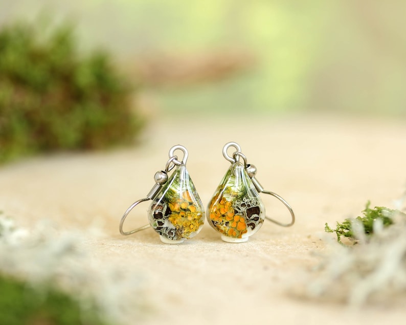 Botanical resin earrings with embedded orange lichen, gray lichen, and green moss. Lying on a beige surface with stainless steel ear wires. Photographed in warm natural light with a softly blurred green background.