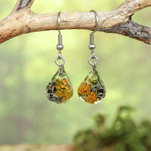 Matching botanical resin earrings designed to complement the lichen pendant necklace, featuring real preserved orange and yellow lichens in teardrop shapes. Shown hanging on a natural branch with a soft forest background