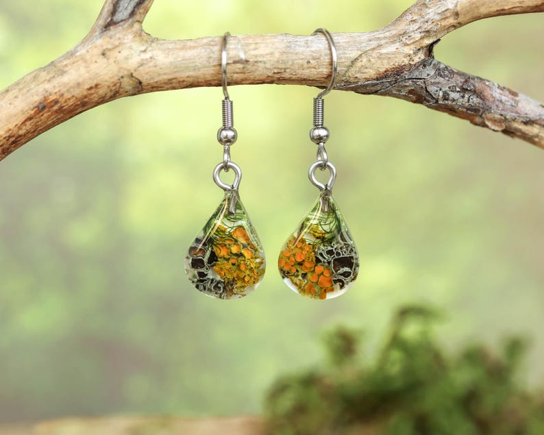 Matching botanical resin earrings designed to complement the lichen pendant necklace, featuring real preserved orange and yellow lichens in teardrop shapes. Shown hanging on a natural branch with a soft forest background