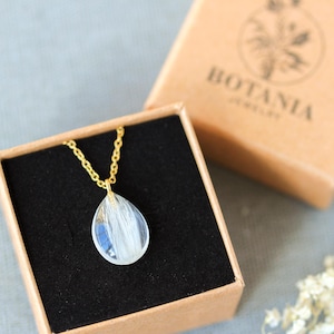 Pode incluir: Um colar com pingente transparente em forma de gota com detalhes brancos, apresentado em uma caixa forrada de veludo preto. O colar tem uma corrente dourada. A caixa est&aacute; dentro de uma caixa de papel&atilde;o marrom com o texto "BOTANIA JEWELRY".